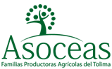 Logo asoceas